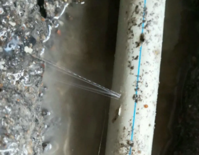 闽清测漏水哪家好