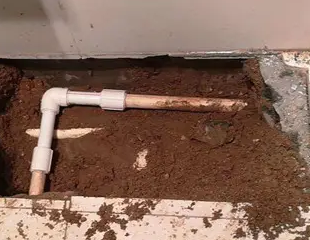 闽清测漏水哪家好