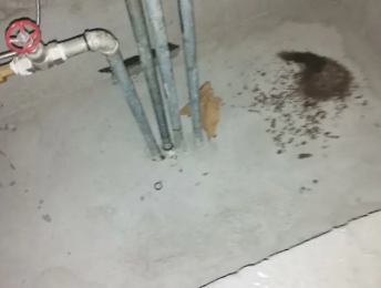 闽清卫生间测漏水价格明细