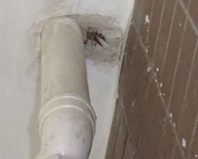 闽清漏水检测哪家好